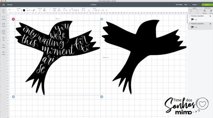 Desenho do Pássaro no Design Space