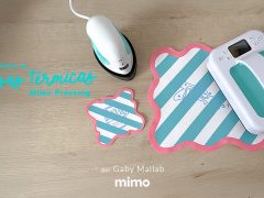 Saiba Tudo Sobre as Prensas Térmicas Mimo Pressing