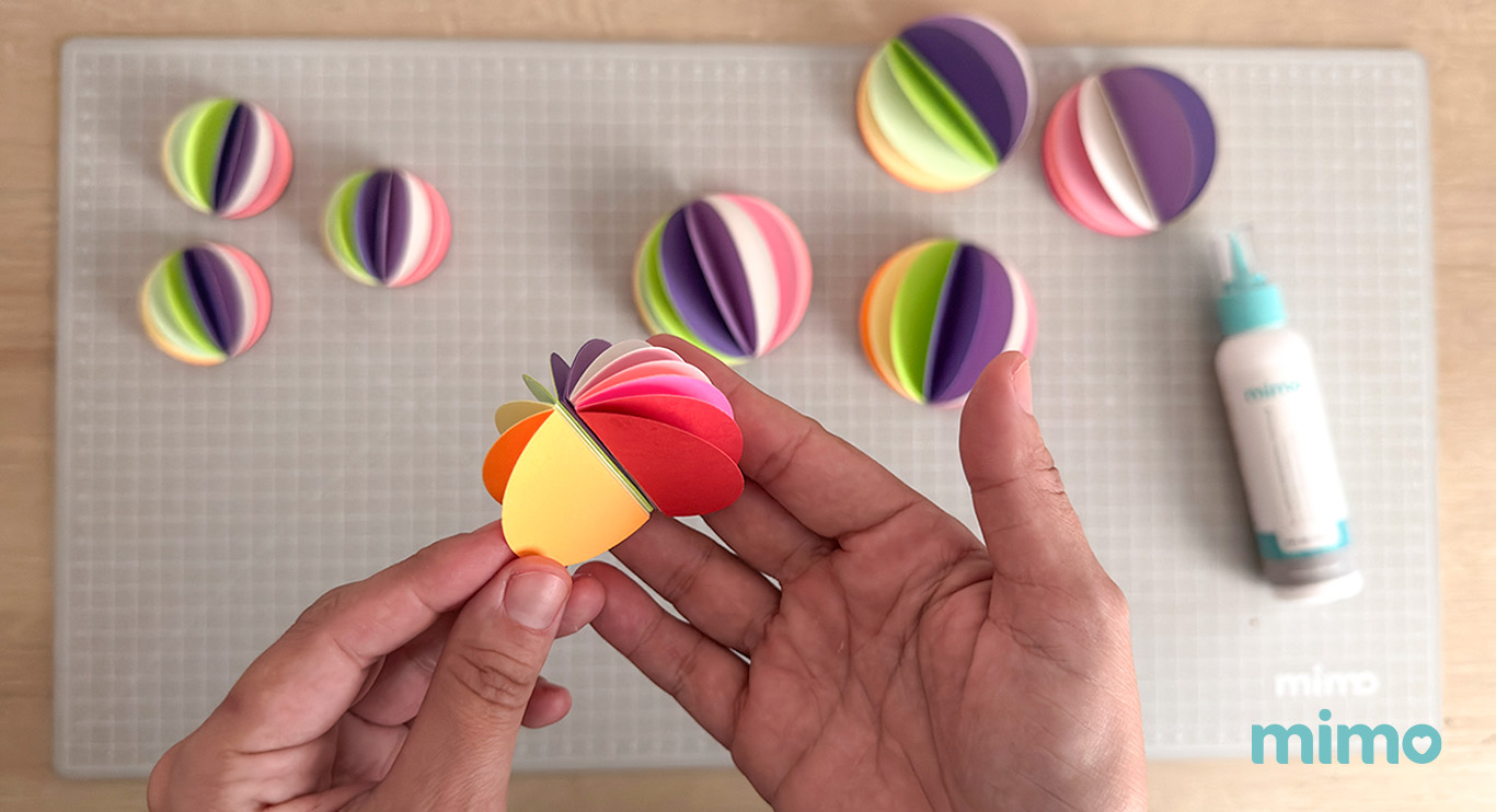 Resultado dos círculos colados Resultado dos círculos colados