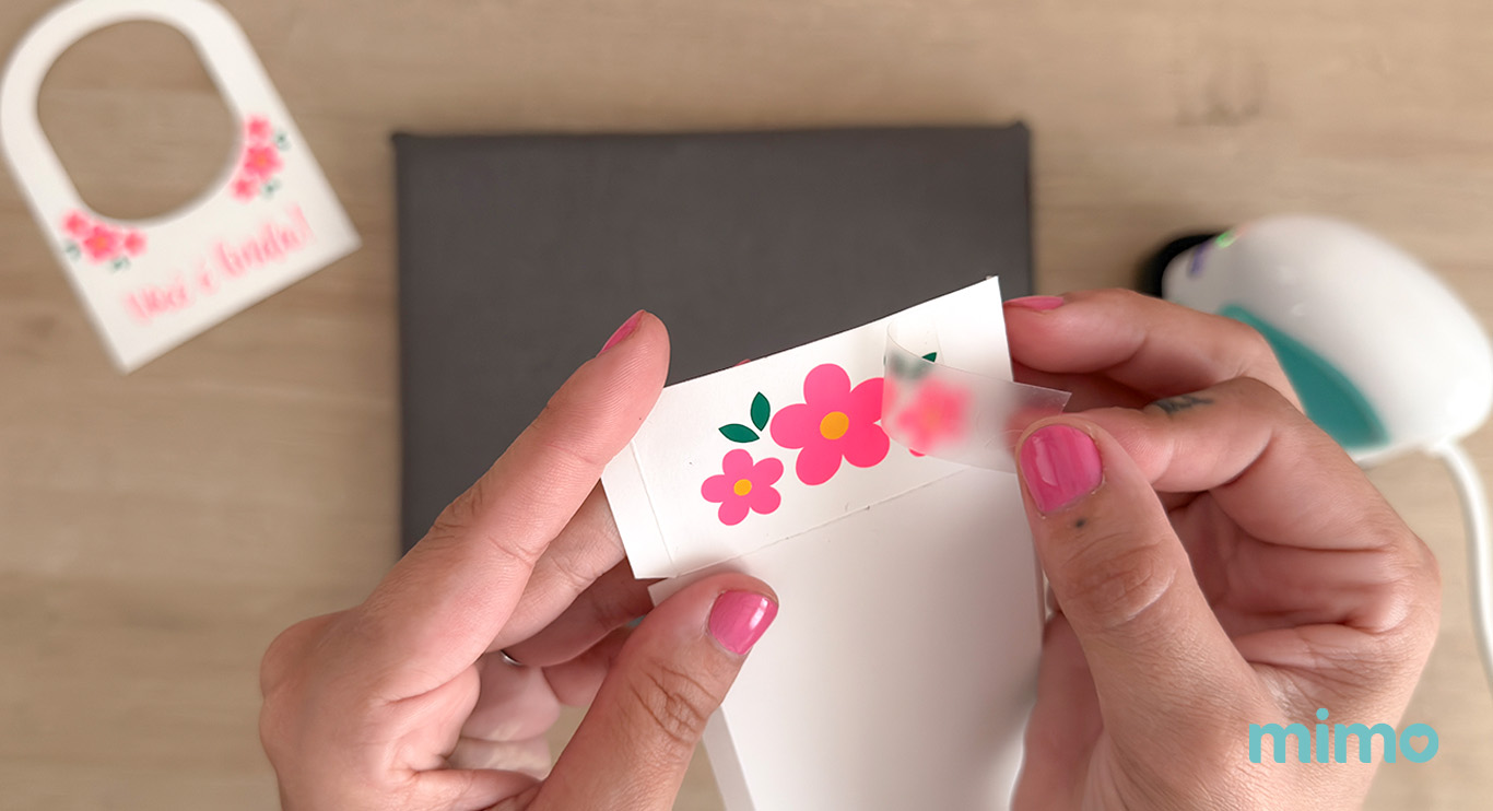 Resultado da aplicação da sobreposição dos transfers Resultado da aplicação da sobreposição dos transfers