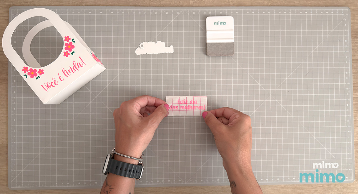 Aplicando a Máscara de Transferência Aplicando a Máscara de Transferência